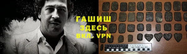 spice Инта