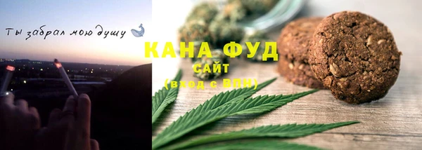 spice Инта