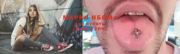 spice Инта