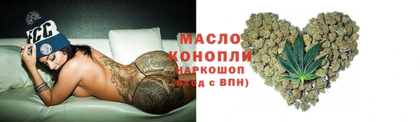 spice Инта