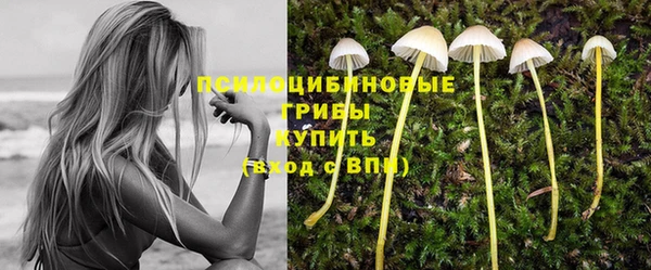 spice Инта