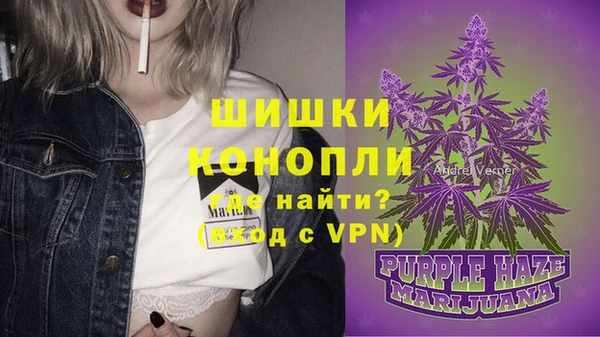 spice Инта