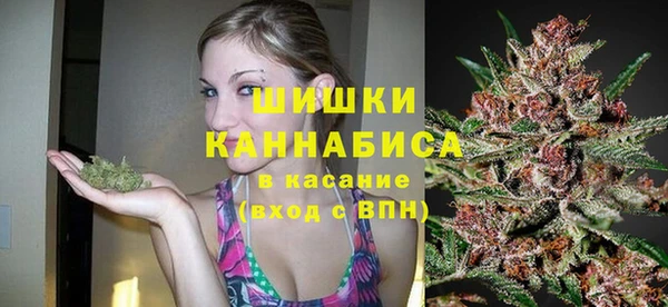 spice Инта